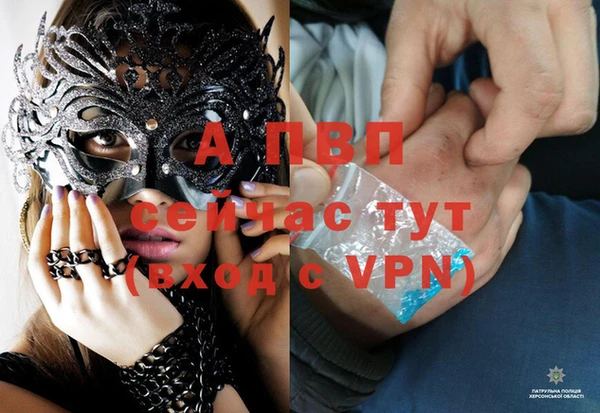 a pvp Нея