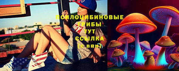винт Новодвинск