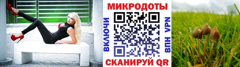 Галлюциногенные грибы Psilocybe  kraken зеркало  Новосокольники 